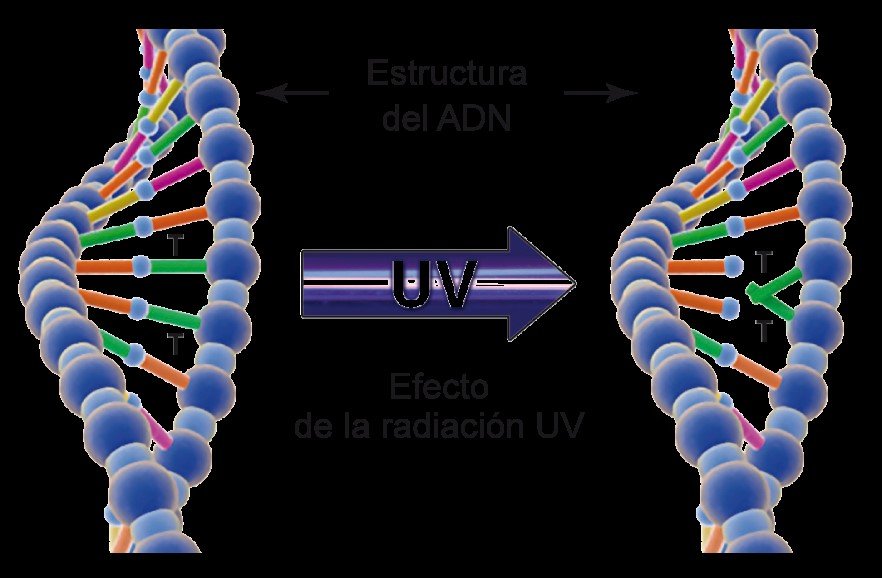 Módulo luz UVC de desinfección IRIS PENTA